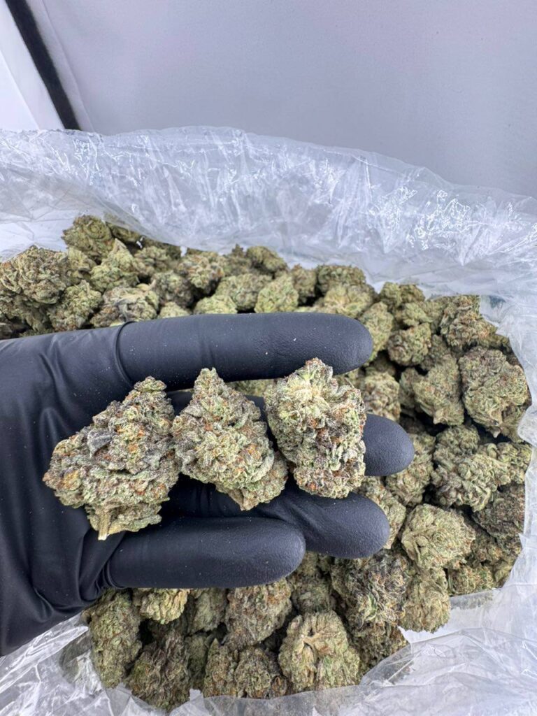 tiramisu strain, tiramisu weed strain, tiramisu cookies strain, tiramisu strain backpackboyz, tiramisu strain price, backpackboyz tiramisu strain, tiramisu teeth strain review