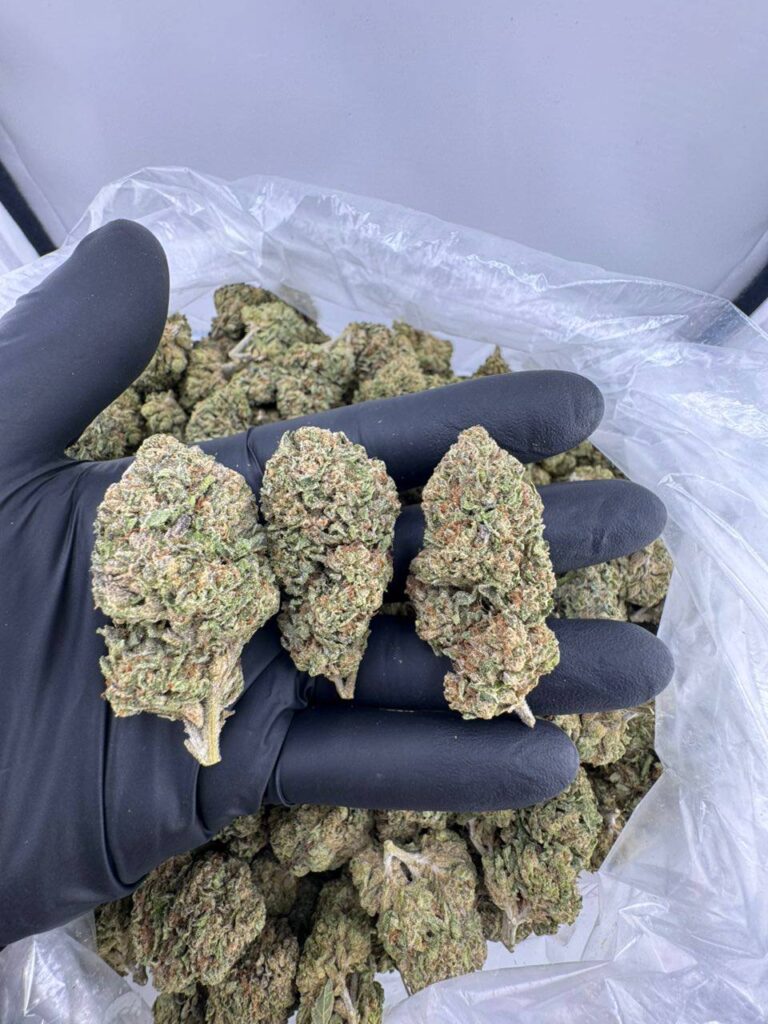lemon cherry gelato price pound, lemon cherry gelato strain for sale, lemon cherry gelato near me, lemon cherry gelato 3.5 bags, lemon cherry gelato disposable, lemon cherry gelato packman, backpack boyz lemon cherry gelato disposable, lemon cherry gelato price ounce