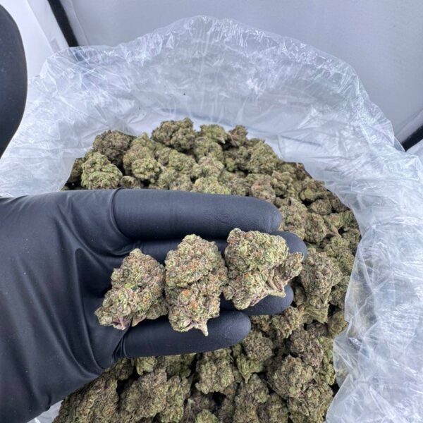 white cherry runtz strain, white cherry runtz, white cherry runtz weed strain, white cherry runtz strain allbud, white cherry runtz leafly, lemon cherry gelato white runtz strain, pura white cherry runtz, white cherry gelato runtz