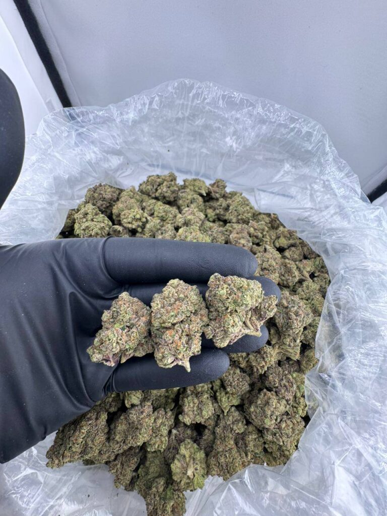 white cherry runtz strain, white cherry runtz, white cherry runtz weed strain, white cherry runtz strain allbud, white cherry runtz leafly, lemon cherry gelato white runtz strain, pura white cherry runtz, white cherry gelato runtz