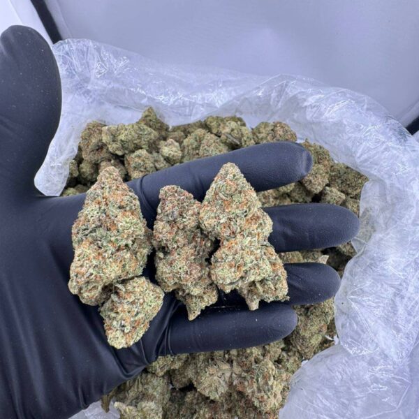 cream soda strain, orange cream soda strain, colorado cream soda strain, cream soda weed strain, ice cream soda strain, red cream soda strain, cherry cream soda strain, cream soda strain price