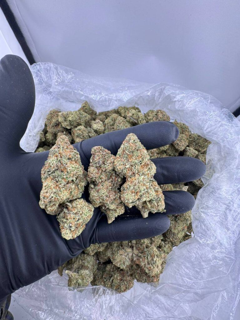 cream soda strain, orange cream soda strain, colorado cream soda strain, cream soda weed strain, ice cream soda strain, red cream soda strain, cherry cream soda strain, cream soda strain price