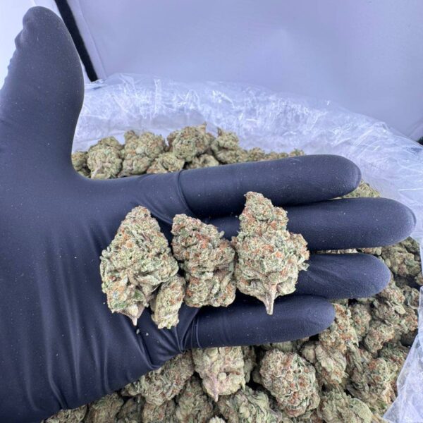 buy crunch berries strain, buy crunch berry strain online, berry crunch strain weed, crunch berries weed strain for sale, crunch berry sundae strain price, captain crunch berries strain near me, crunch berry kush strain online, crunch berries strain review buy