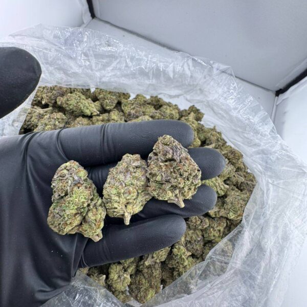 buy airhead strain online, airhead weed strain for sale, airhead runtz strain price, order cherry airhead strain, blue airhead strain weed, white airhead strain near me, airhead strain review and effects, airhead og strain weed