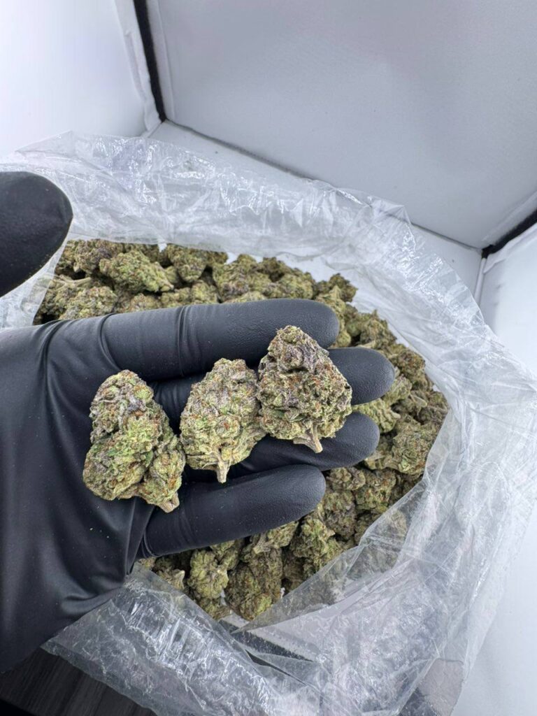 buy airhead strain online, airhead weed strain for sale, airhead runtz strain price, order cherry airhead strain, blue airhead strain weed, white airhead strain near me, airhead strain review and effects, airhead og strain weed
