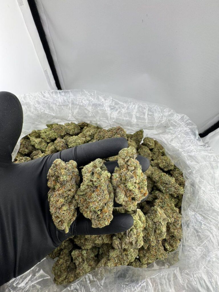 buy GMO Snow strain online, GMO Snow weed strain for sale, order GMO Snow strain near me, GMO Snow strain price and effects, GMO Snow exotic weed strain, GMO Snow strain seeds for sale, GMO Snow strain review and info, premium GMO Snow cannabis strain