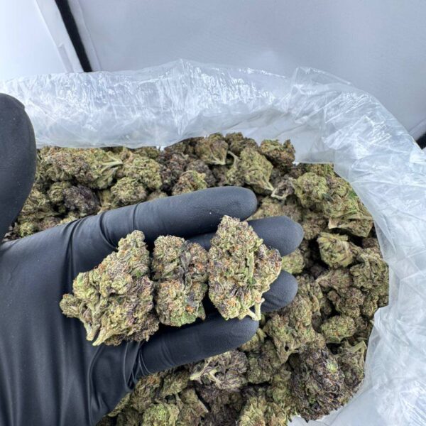 buy blueberry runtz strain online, blueberry runtz weed strain for sale, blueberry runtz strain price near me, blueberry runtz strain review and effects, blueberry runtz strain Leafly info, order blueberry runtz Trulieve strain, blueberry muffin runtz exotic weed, blueberry cobbler runtz strain buy now