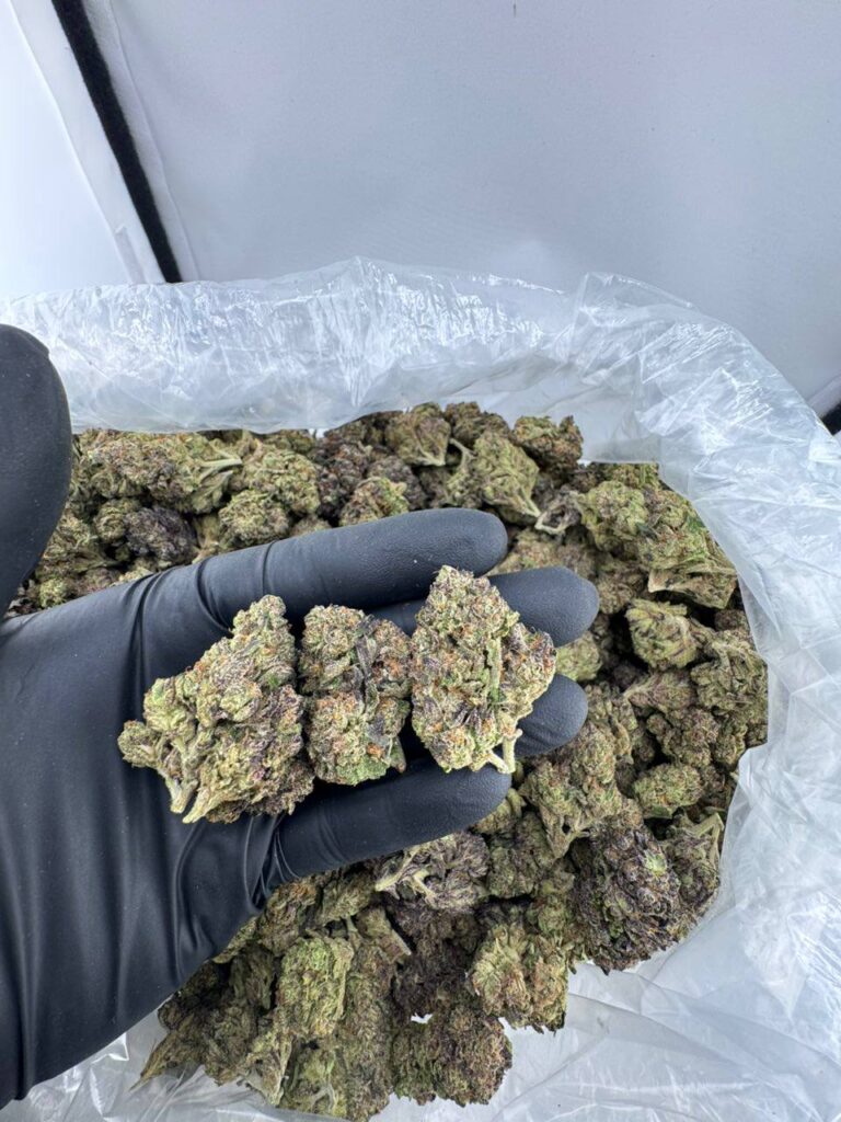 buy blueberry runtz strain online, blueberry runtz weed strain for sale, blueberry runtz strain price near me, blueberry runtz strain review and effects, blueberry runtz strain Leafly info, order blueberry runtz Trulieve strain, blueberry muffin runtz exotic weed, blueberry cobbler runtz strain buy now
