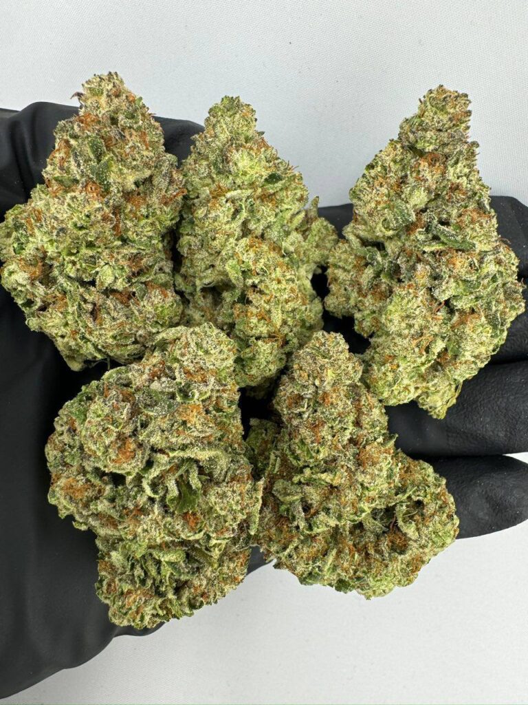 peach rings strain, peach ring strain, peach rings weed strain, mango peach rings strain, peach rings strain review, buy peach rings strain online, peach rings strain seeds for sale, peach rings exotic weed strain