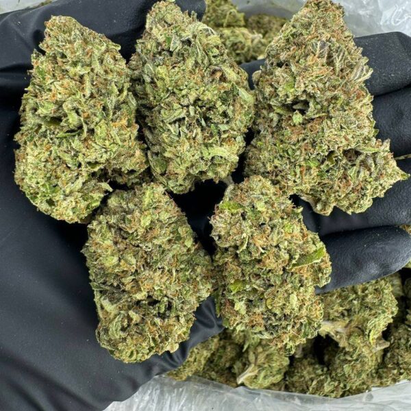 gas face strain, gas face weed strain, gas face og strain, gas face strain effects, gas face strain review, buy gas face strain online, gas face strain seeds for sale, gas face cannabis strain
