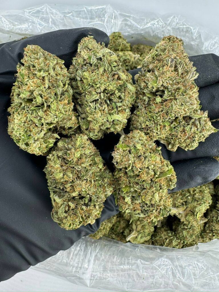 gas face strain, gas face weed strain, gas face og strain, gas face strain effects, gas face strain review, buy gas face strain online, gas face strain seeds for sale, gas face cannabis strain