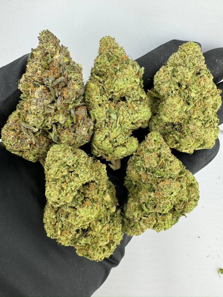 squirt weed strain, squirt strain, buy squirt weed strain online, squirt cannabis strain for sale, squirt strain effects, squirt strain review, squirt weed strain seeds, squirt marijuana strain