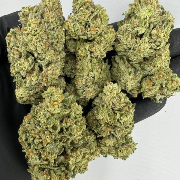 ice box pie strain, ice box strain, buy ice box pie strain online, ice box pie weed strain for sale, ice box pie strain review, ice box pie cannabis strain effects, ice box pie strain seeds, ice box pie marijuana strain