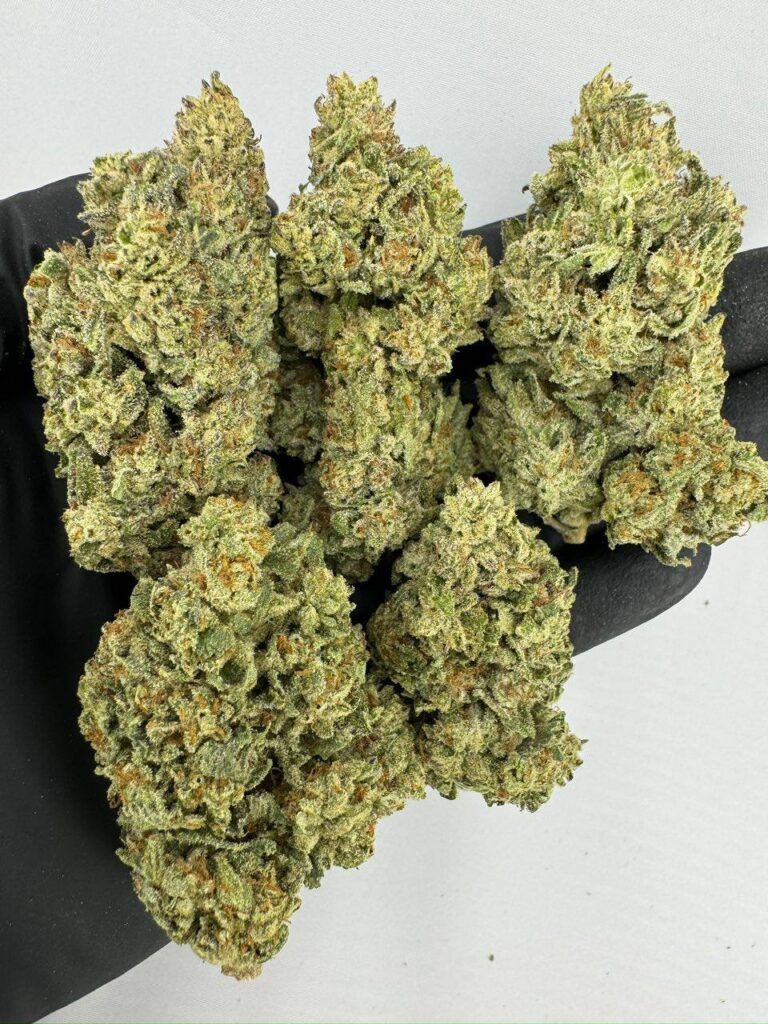 ice box pie strain, ice box strain, buy ice box pie strain online, ice box pie weed strain for sale, ice box pie strain review, ice box pie cannabis strain effects, ice box pie strain seeds, ice box pie marijuana strain