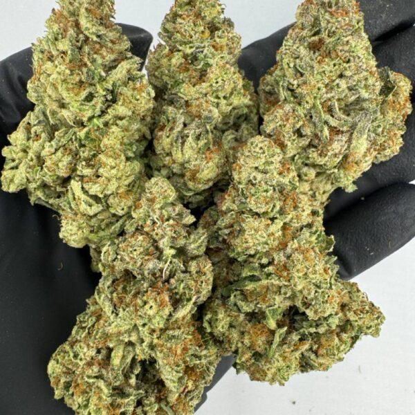 white gummy bear strain, white gummy bears strain, buy white gummy bear strain online, white gummy bear weed strain for sale, white gummy bear strain effects, white gummy bear strain review, white gummy bear strain seeds, white gummy bear marijuana strain