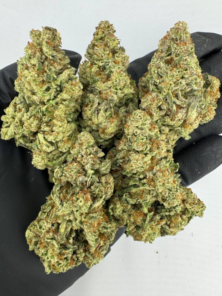 white gummy bear strain, white gummy bears strain, buy white gummy bear strain online, white gummy bear weed strain for sale, white gummy bear strain effects, white gummy bear strain review, white gummy bear strain seeds, white gummy bear marijuana strain