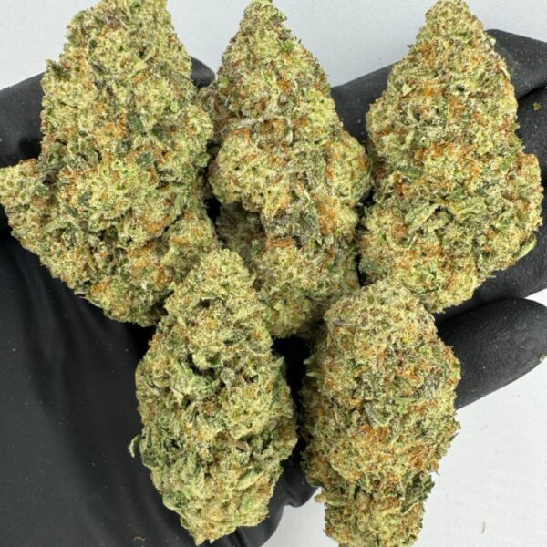 sour patch kids strain, sour patch kids weed strain, buy sour patch kids strain online, sour patch kids cannabis strain for sale, sour patch kids strain review, sour patch kids strain effects, sour patch kids strain seeds, sour patch kids marijuana strain