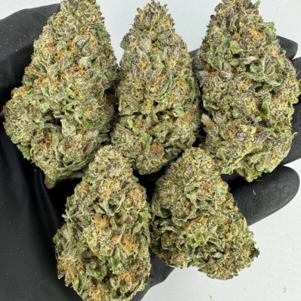 purple cream strain, purple cream cake strain, purple ice cream cake strain, buy purple cream strain online, purple cream weed strain for sale, purple cream strain effects, purple cream strain seeds, purple cream cannabis strain review