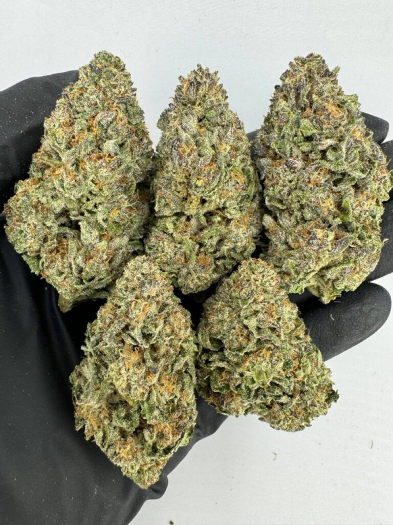 purple cream strain, purple cream cake strain, purple ice cream cake strain, buy purple cream strain online, purple cream weed strain for sale, purple cream strain effects, purple cream strain seeds, purple cream cannabis strain review