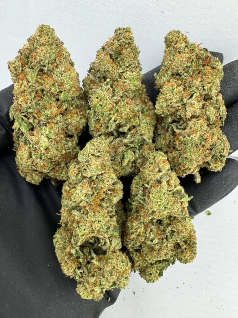 jet fuel strain, jet fuel gelato strain, jet fuel og strain, buy jet fuel strain online, jet fuel weed strain for sale, jet fuel strain effects, jet fuel strain review, jet fuel strain seeds