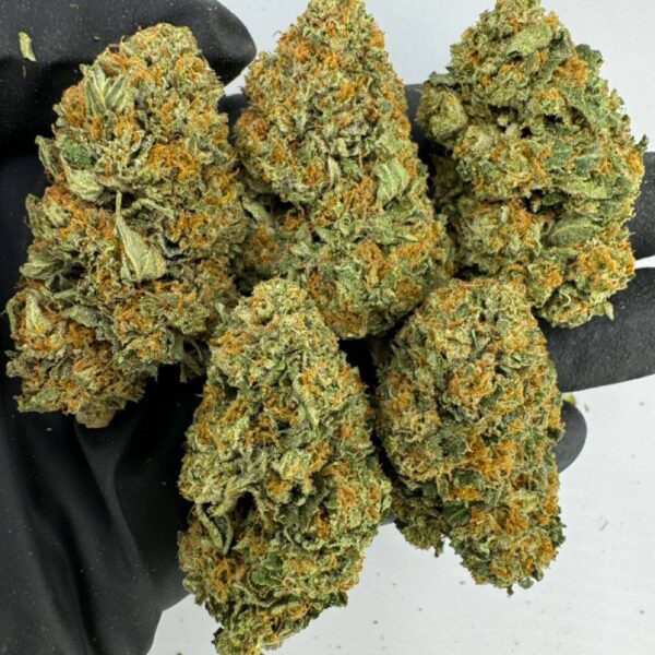 bacio gelato strain, bacio gelato weed strain, bacio gelato strain effects, buy bacio gelato strain online, bacio gelato strain review, bacio gelato strain seeds, bacio gelato strain indica or sativa, bacio gelato strain thc level