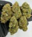 bacio gelato strain, bacio gelato weed strain, bacio gelato strain effects, buy bacio gelato strain online, bacio gelato strain review, bacio gelato strain seeds, bacio gelato strain indica or sativa, bacio gelato strain thc level