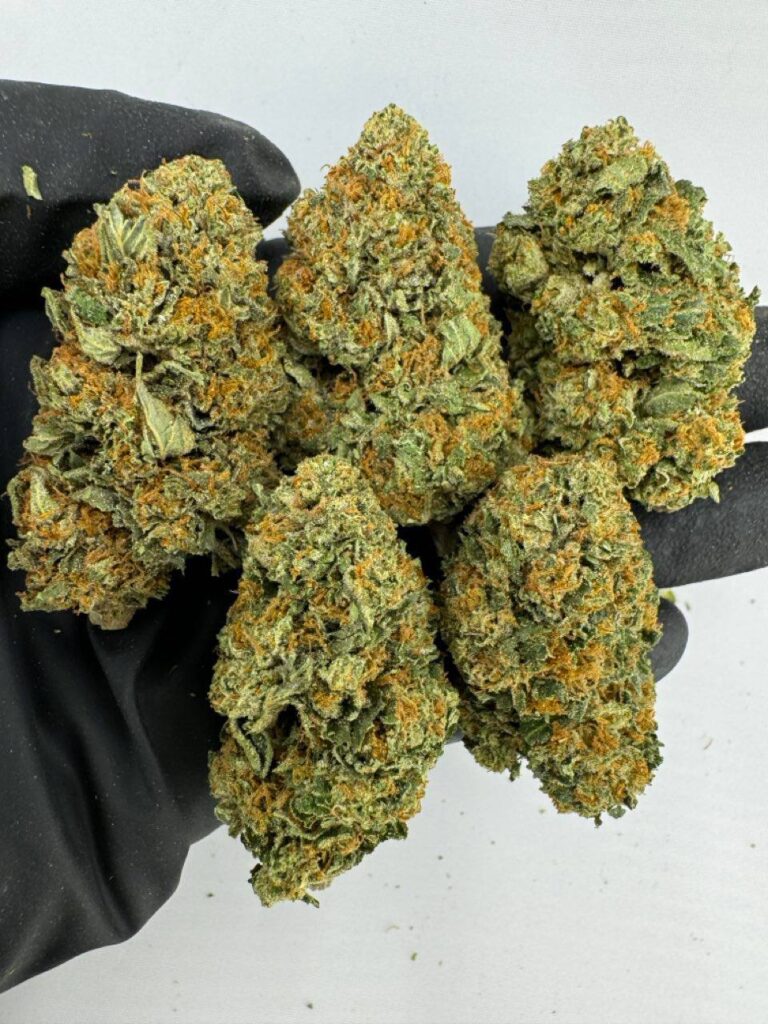bacio gelato strain, bacio gelato weed strain, bacio gelato strain effects, buy bacio gelato strain online, bacio gelato strain review, bacio gelato strain seeds, bacio gelato strain indica or sativa, bacio gelato strain thc level