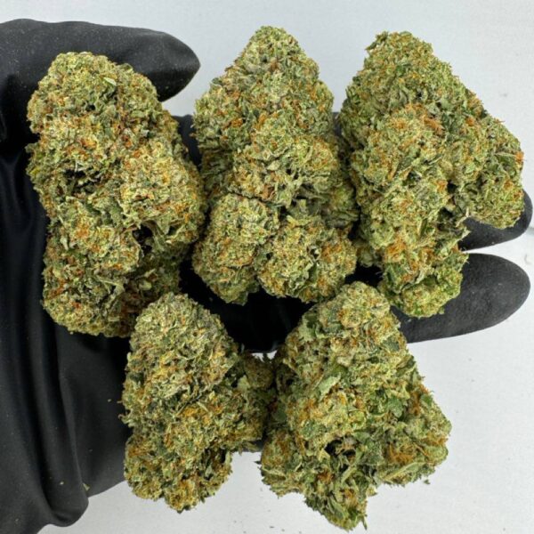 gelato 41 strain, gelato 41 weed strain, gelato 41 strain review, buy gelato 41 strain online, gelato 41 strain effects, gelato 41 strain indica or sativa, gelato 41 strain price, gelato 41 strain seeds