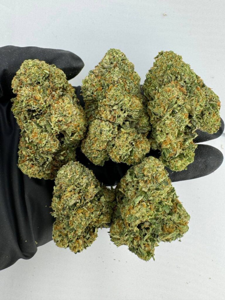 gelato 41 strain, gelato 41 weed strain, gelato 41 strain review, buy gelato 41 strain online, gelato 41 strain effects, gelato 41 strain indica or sativa, gelato 41 strain price, gelato 41 strain seeds