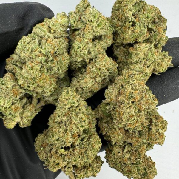 white rhino strain, white rhino weed strain, white rhino strain effects, buy white rhino strain online, white rhino strain seeds, white rhino strain indica or sativa, white rhino marijuana strain, white rhino strain review