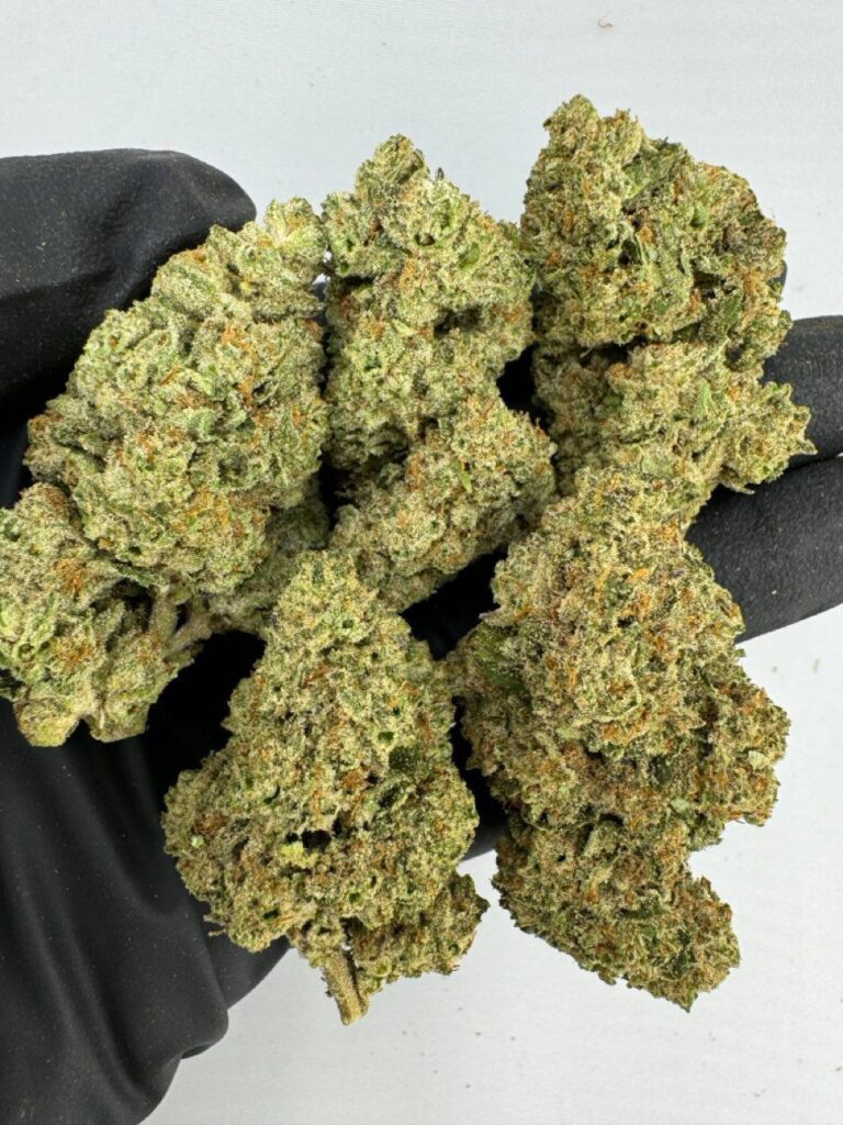 white rhino strain, white rhino weed strain, white rhino strain effects, buy white rhino strain online, white rhino strain seeds, white rhino strain indica or sativa, white rhino marijuana strain, white rhino strain review