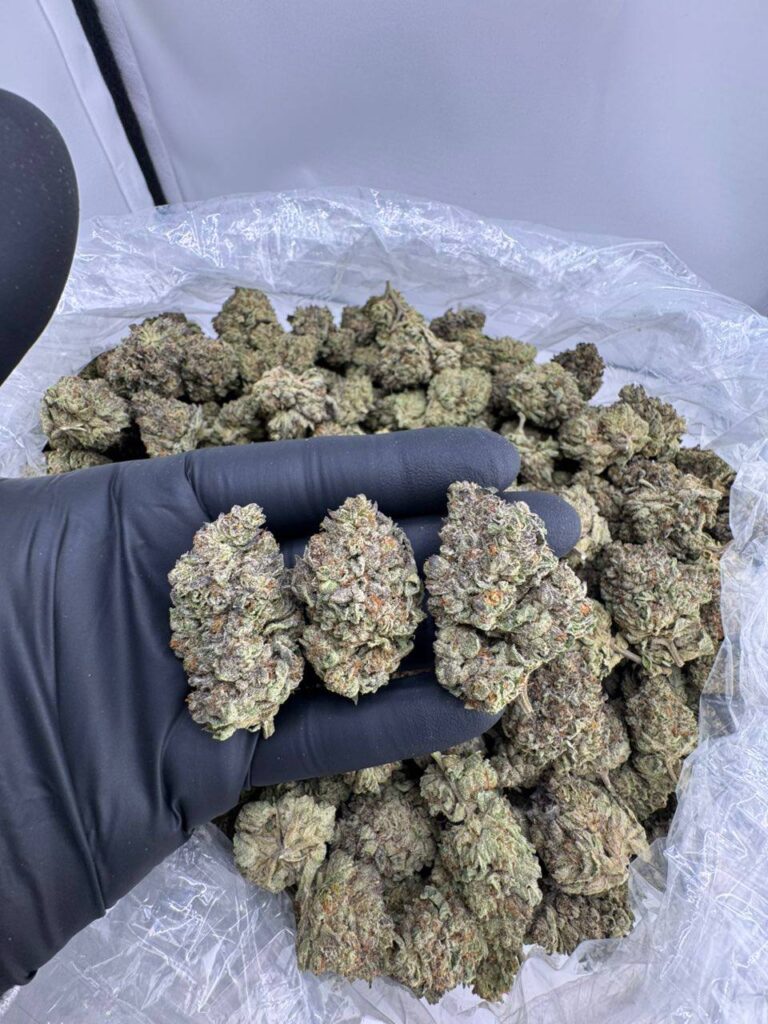tres leches strain, tres leche strain, tres leches weed strain, buy tres leches strain online, tres leches strain indica or sativa, tres leches strain effects, tres leches strain review, tres leches cake strain