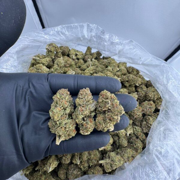 white runtz strain, white runtz weed strain, white cherry runtz strain, buy white runtz strain online, white runtz strain indica or sativa, white runtz strain review, white runtz strain effects, white runtz marijuana strain