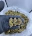 white runtz strain, white runtz weed strain, white cherry runtz strain, buy white runtz strain online, white runtz strain indica or sativa, white runtz strain review, white runtz strain effects, white runtz marijuana strain