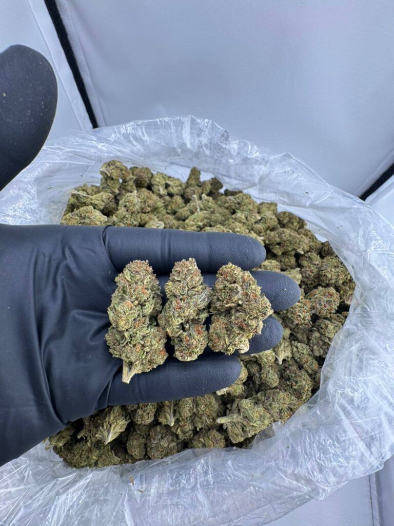 white runtz strain, white runtz weed strain, white cherry runtz strain, buy white runtz strain online, white runtz strain indica or sativa, white runtz strain review, white runtz strain effects, white runtz marijuana strain