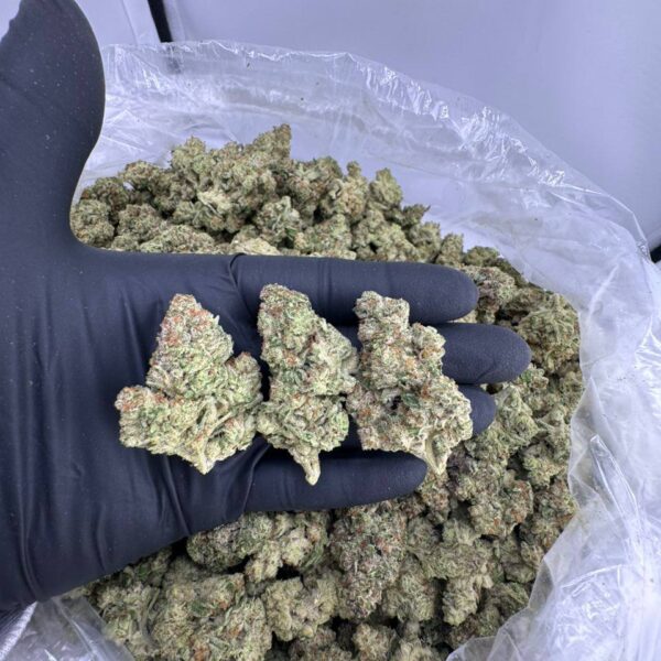 pink crack strain, buy pink crack weed strain, pink crack strain review, pink green crack strain, pink crack strain effects, pink crack strain indica or sativa, pink crack marijuana strain