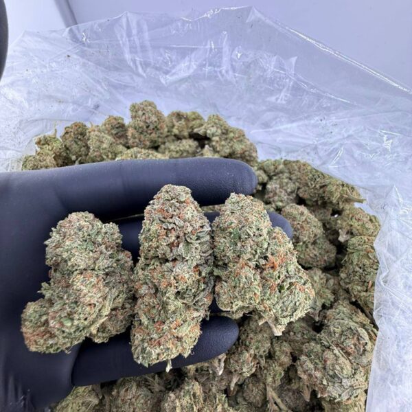 buy mochi strain online, mochi gelato strain for sale, mochi runtz strain weed near me, mochi weed strain price, order almond mochi strain online, mochi cake strain review leafly, buy strawberry mochi strain now, candy mochi strain effects and price