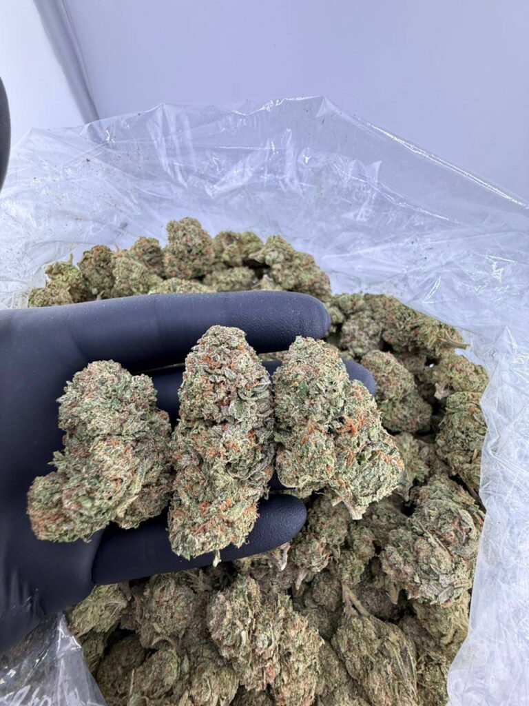 buy mochi strain online, mochi gelato strain for sale, mochi runtz strain weed near me, mochi weed strain price, order almond mochi strain online, mochi cake strain review leafly, buy strawberry mochi strain now, candy mochi strain effects and price