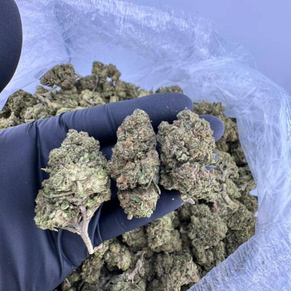 banana jelly weed strain, buy banana jelly weed, jelly banana weed, banana jelly strain for sale, banana jelly marijuana strain, banana jelly weed near me, banana jelly cannabis strain