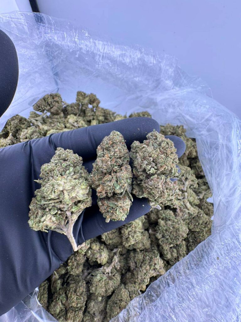banana jelly weed strain, buy banana jelly weed, jelly banana weed, banana jelly strain for sale, banana jelly marijuana strain, banana jelly weed near me, banana jelly cannabis strain