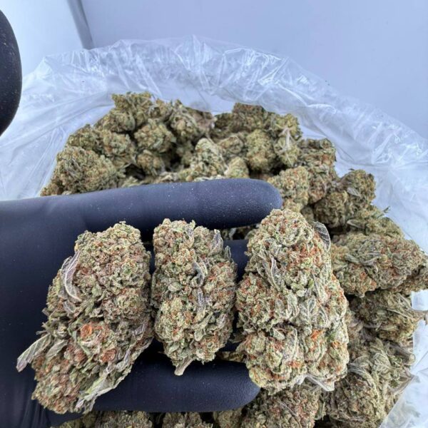 buy bubba og strain online, bubba og kush for sale near me, bubba kush og weed strain price, order og bubba kush online, og bubba strain review and effects, bubba og seeds for sale, bubba og strain leafly rating, premium bubba og weed strain