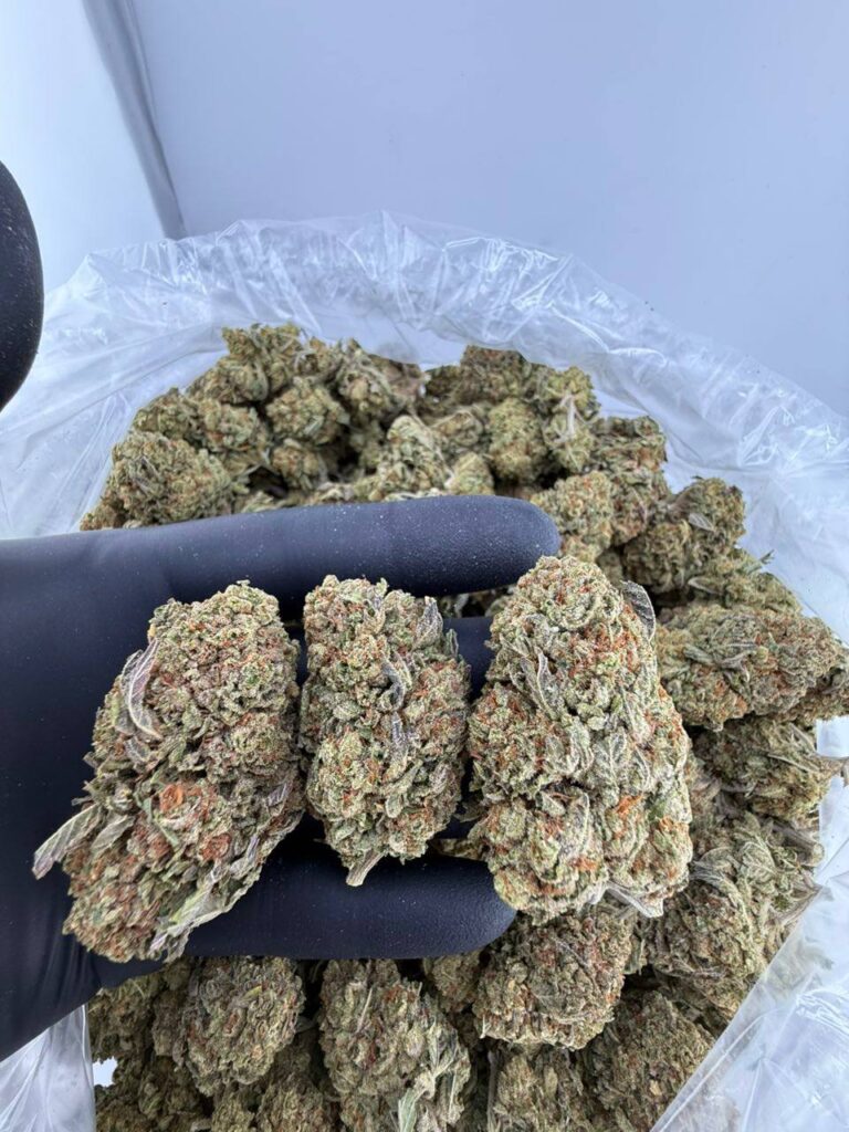 buy bubba og strain online, bubba og kush for sale near me, bubba kush og weed strain price, order og bubba kush online, og bubba strain review and effects, bubba og seeds for sale, bubba og strain leafly rating, premium bubba og weed strain