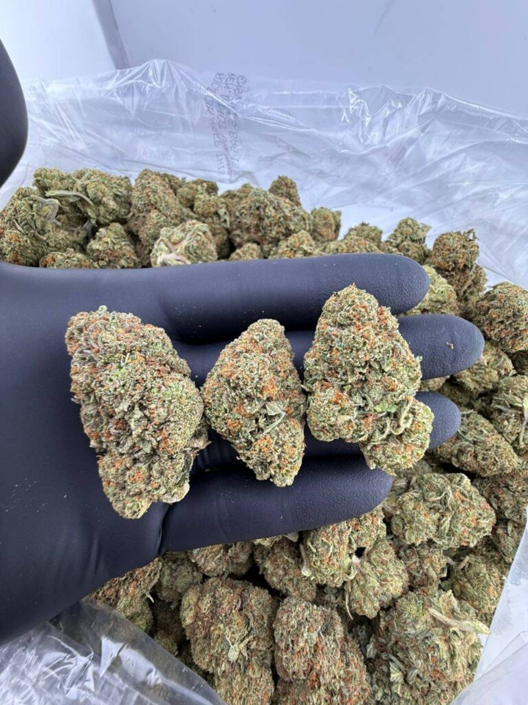 buy z runtz strain online, z-runtz strain for sale near me, z runtz weed strain price, order z runtz strain now, z runtz strain leafly review, z runtz strain allbud info buy, z runtz strain seeds for sale, premium z runtz exotic weed