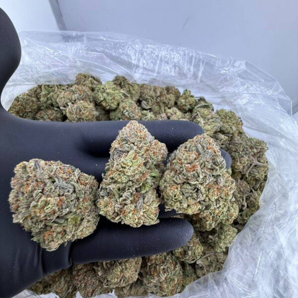 buy mochi strain online, mochi gelato strain for sale, mochi runtz weed strain near me, mochi weed strain price per ounce, order almond mochi strain online, mochi cake strain review and effects, buy strawberry mochi strain now, candy mochi strain seeds for sale