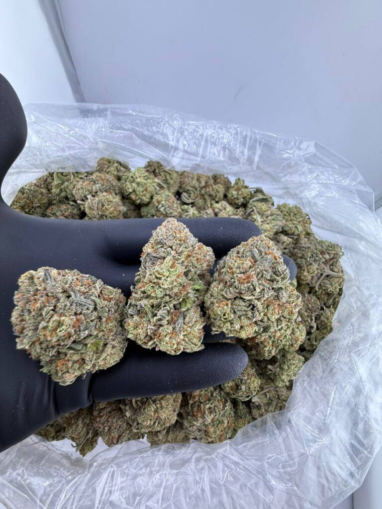 buy mochi strain online, mochi gelato strain for sale, mochi runtz weed strain near me, mochi weed strain price per ounce, order almond mochi strain online, mochi cake strain review and effects, buy strawberry mochi strain now, candy mochi strain seeds for sale