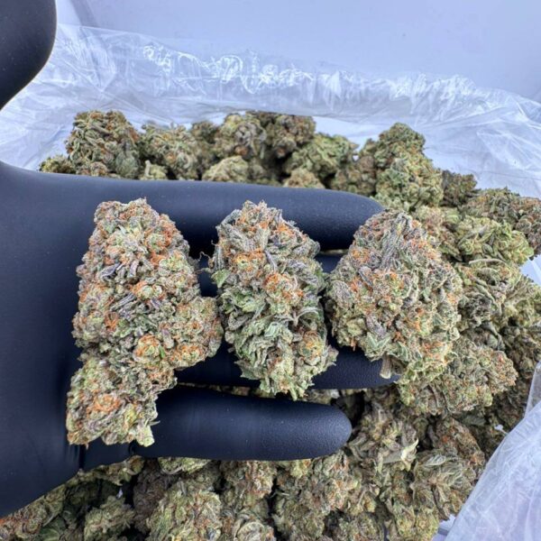 buy peanut butter breath strain online, peanut butter breath weed strain for sale, order super peanut butter breath strain, purple peanut butter breath strain near me, peanut butter breath strain price per ounce, peanut butter pie breath strain review, peanut butter mendo breath weed seeds, platinum peanut butter breath strain buy now