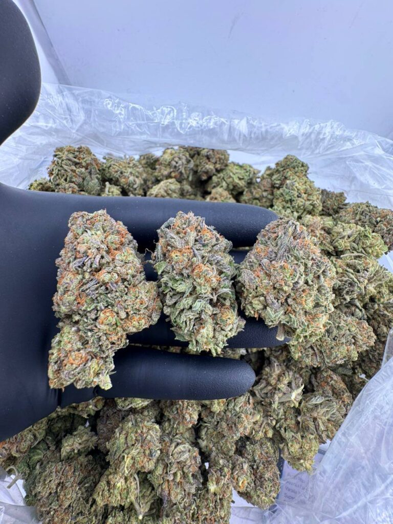 buy peanut butter breath strain online, peanut butter breath weed strain for sale, order super peanut butter breath strain, purple peanut butter breath strain near me, peanut butter breath strain price per ounce, peanut butter pie breath strain review, peanut butter mendo breath weed seeds, platinum peanut butter breath strain buy now