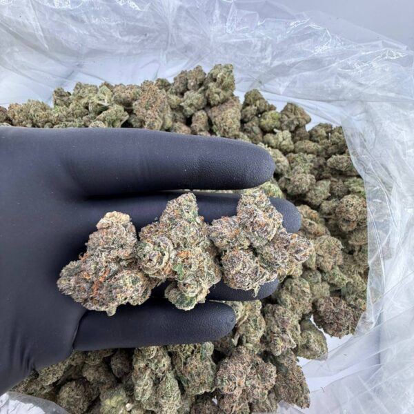 buy pink passion fruit strain online, pink passion fruit weed strain for sale, pink passion fruit strain cookies price, pink passion fruit strain 1937 review, order pineapple passion fruit strain weed, passion fruit twist weed strain near me, passion fruit strain weed price per ounce, premium passion fruit strain seeds for sale