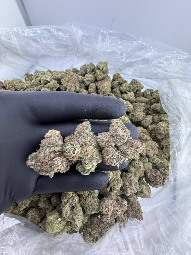 buy pink passion fruit strain online, pink passion fruit weed strain for sale, pink passion fruit strain cookies price, pink passion fruit strain 1937 review, order pineapple passion fruit strain weed, passion fruit twist weed strain near me, passion fruit strain weed price per ounce, premium passion fruit strain seeds for sale