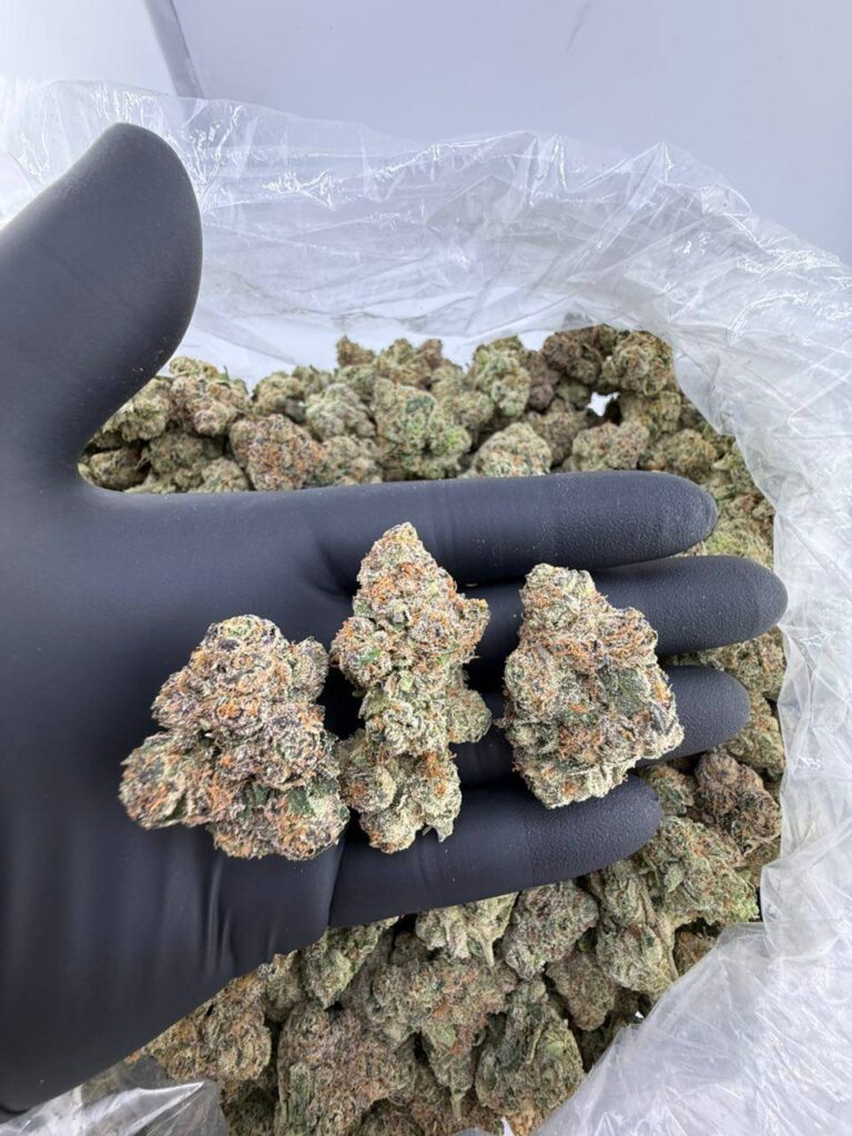 buy pine tar strain online, pine mintz weed strain for sale, order pina loca strain near me, pina grande weed strain price, petrol pine strain seeds for sale, funky pine exotic strain buy now, pine tar strain review and effects, premium pine mintz strain weed , pina grande strain